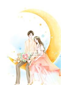 奈何明月不照