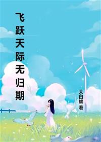 飞跃天际无归期